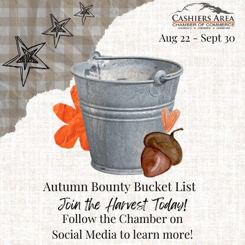 Bucket List website