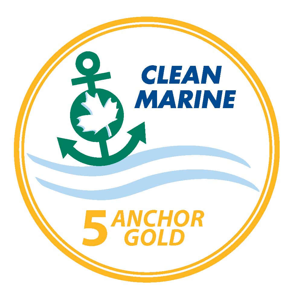 5 anchor gold