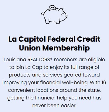 Screenshot 2026-02-17 130311