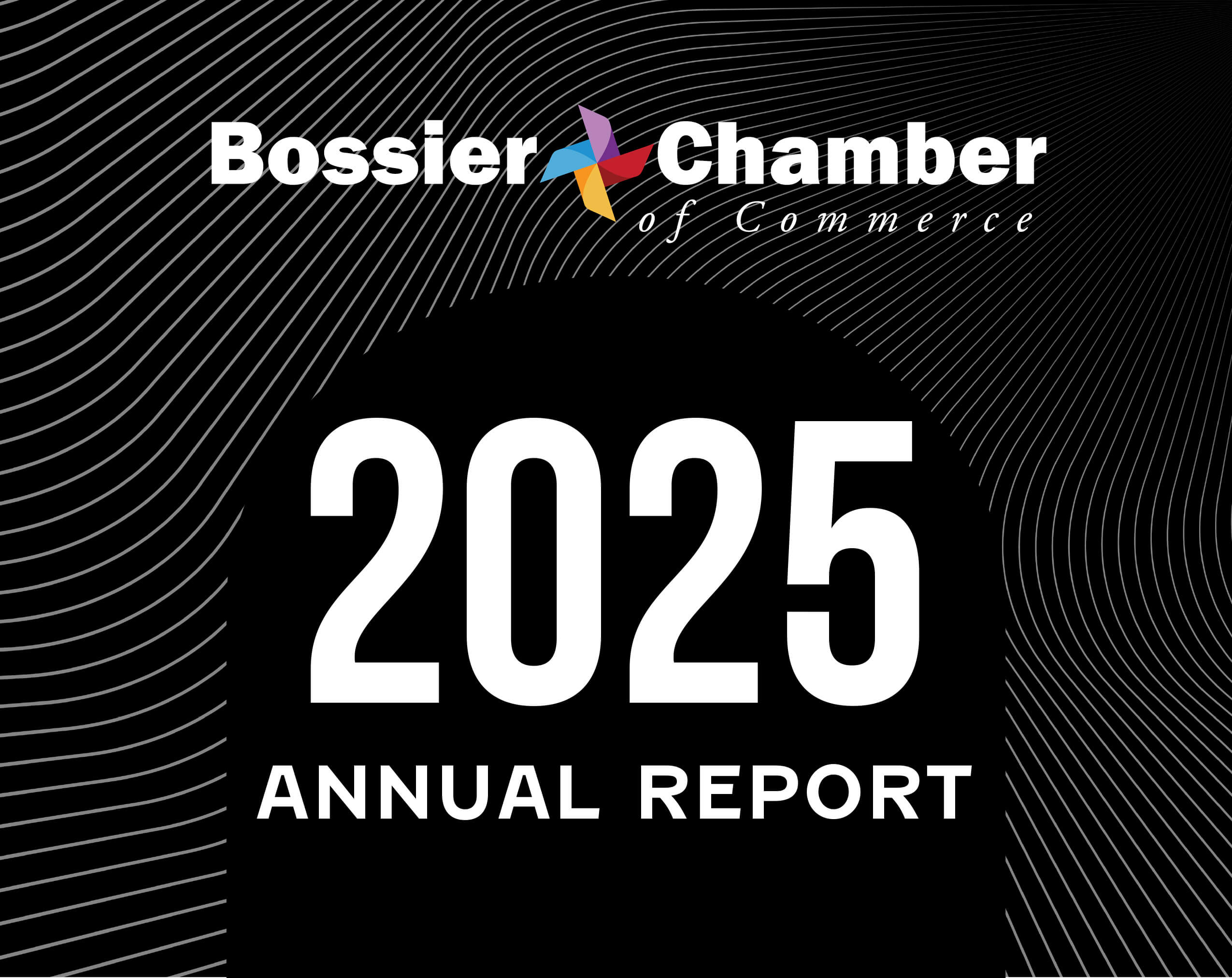 26-annual report 2025-1