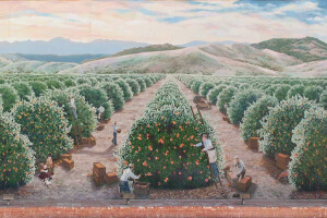 orange harvest mural