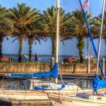 palm-trees-water-front