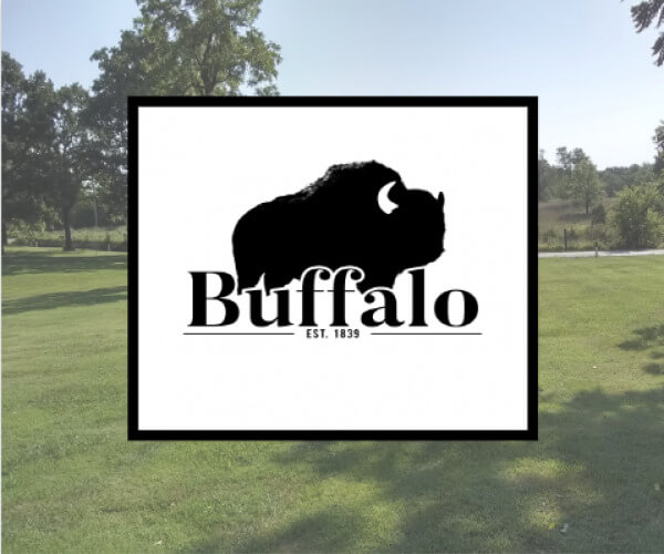 Buffalo Photo 2