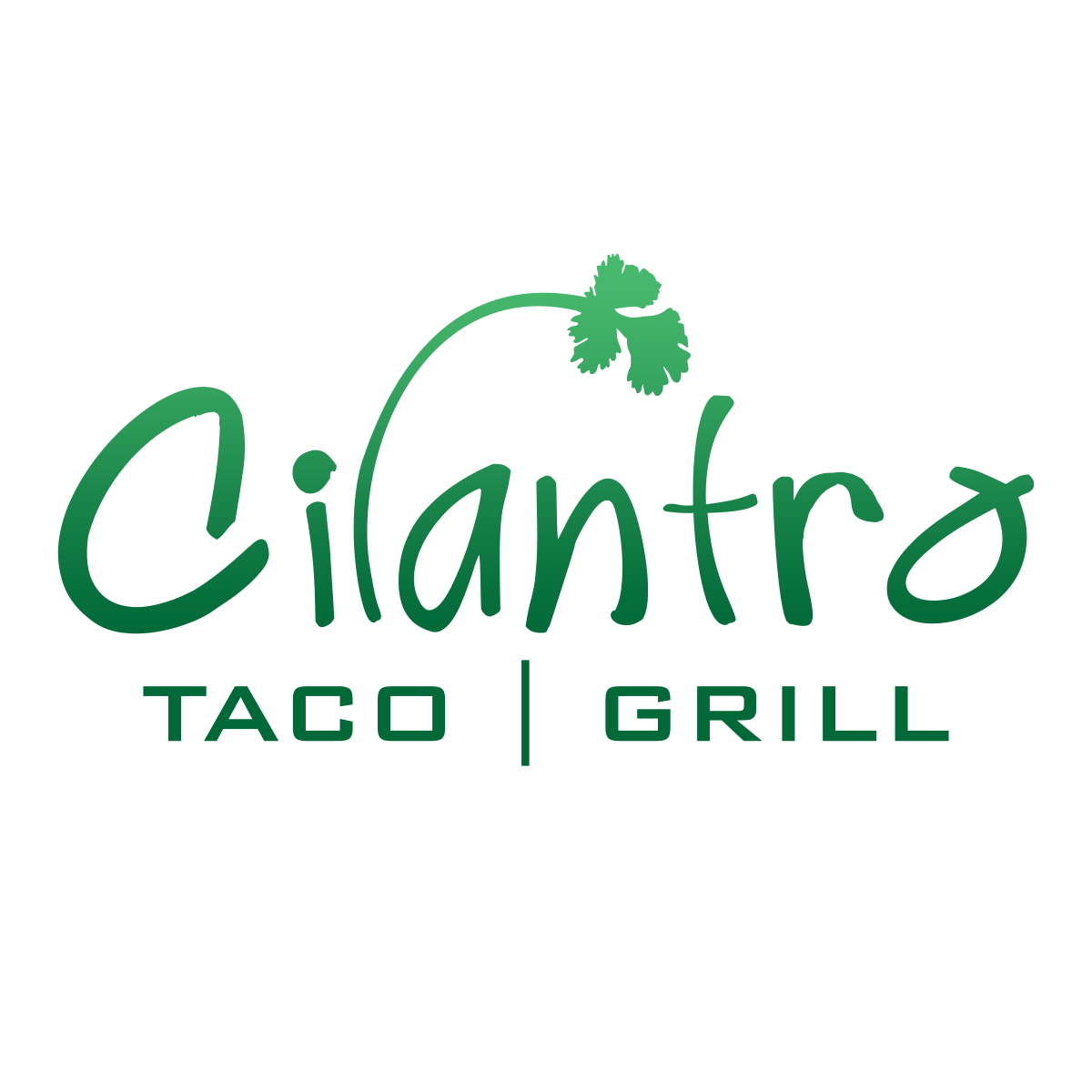 Cilantro Taco Grill