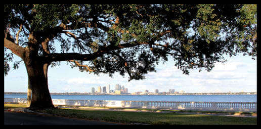 South Tampa Bayshore Blvd