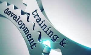 training development