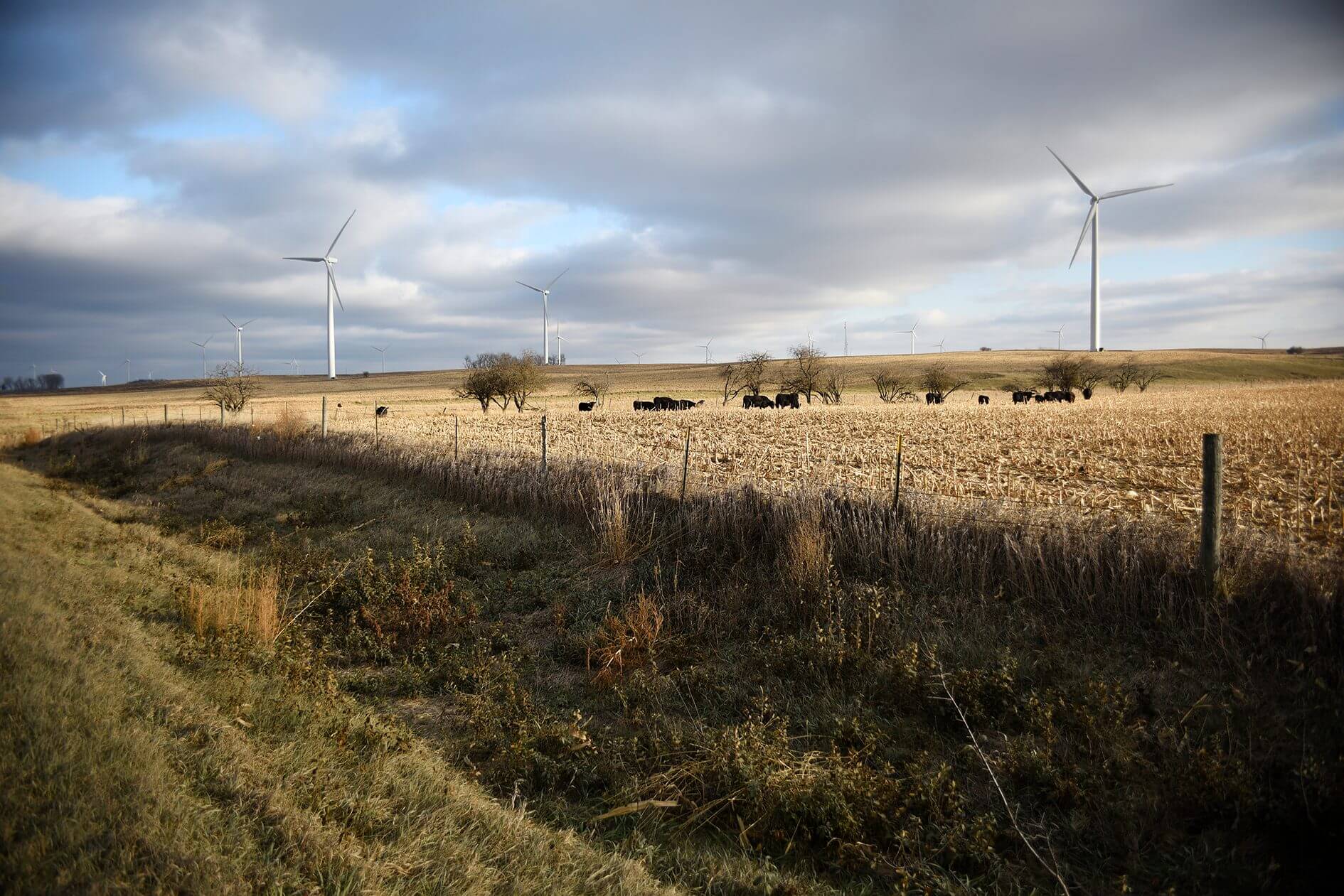 Nobles County Windfarm by Barr