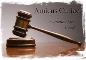 amicus amicus