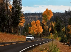 fall is in the AIR utah road