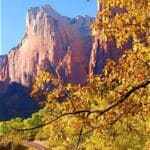 fall southern utah 2