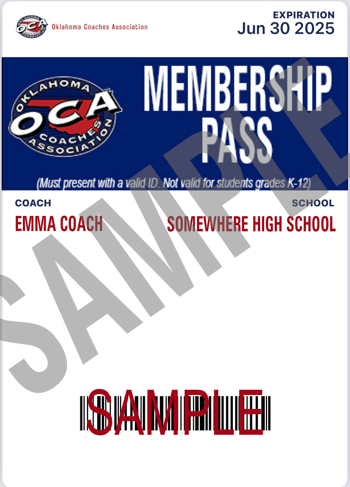MEMBERSHIP PASS copy