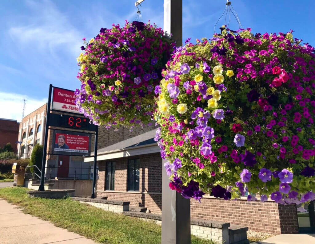 MainStreet Flowers