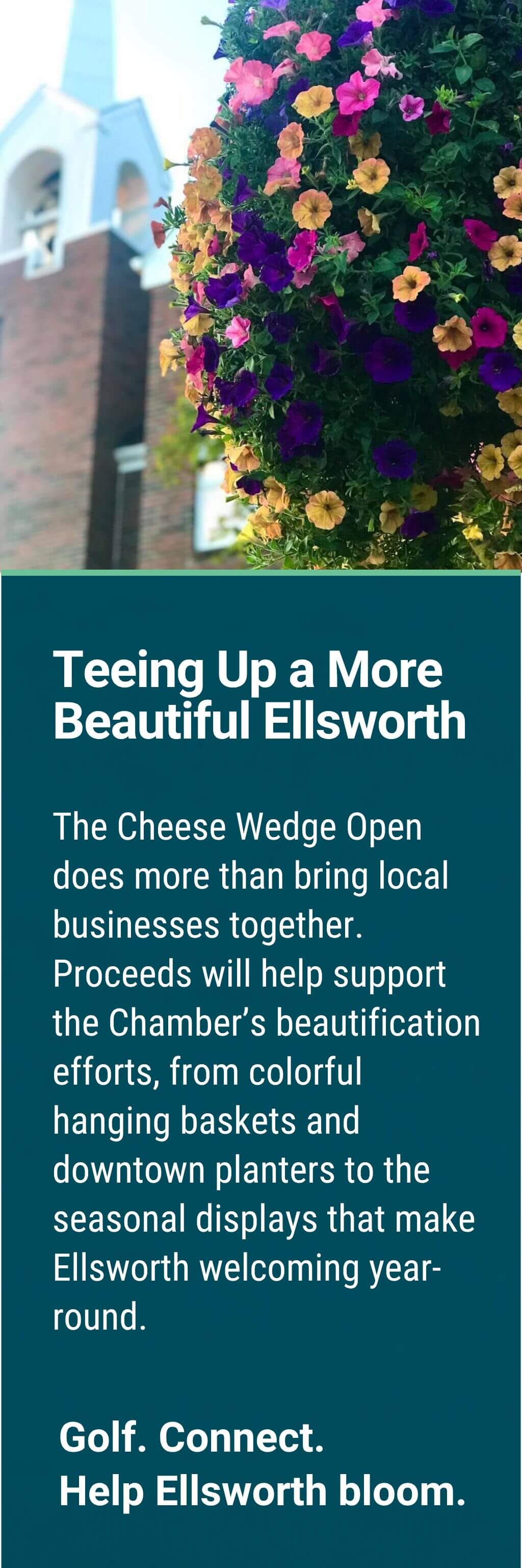 Cheese Wedge Open_Beautification Impact Card (1024 x 3072 px)