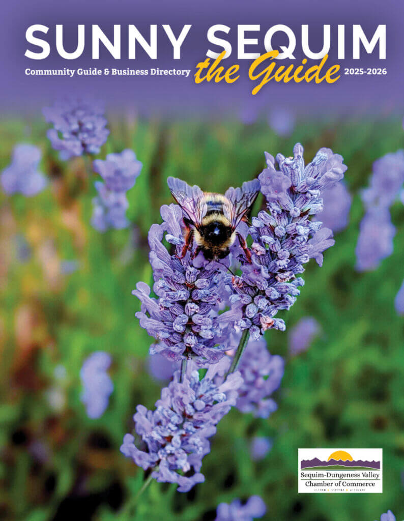 Photo of lavender bloom with honey bee