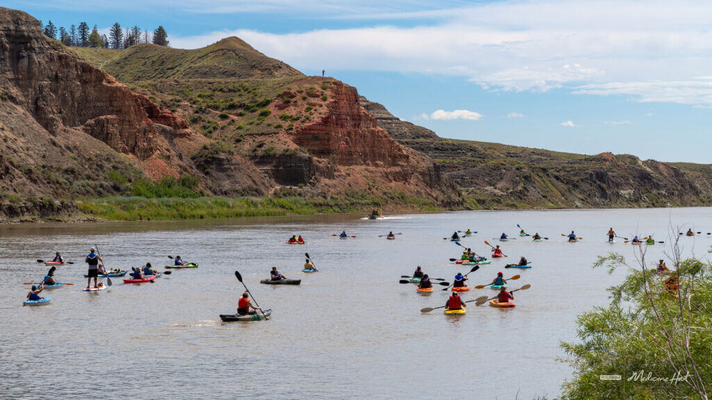 Zoom-Great Big Paddle-Medicine Hat Zoom-Great Big Paddle-Medicine Hat
