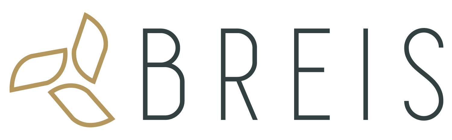 BREIS logo