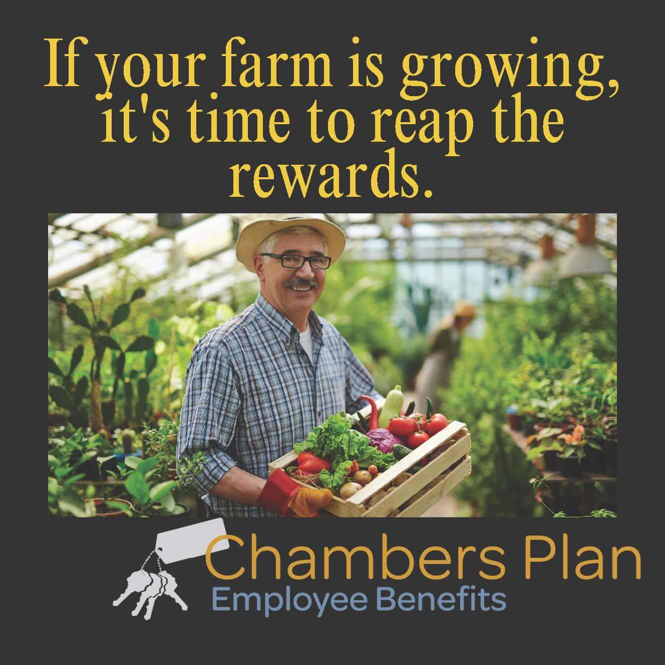 Chambers Plan Ad (3) Chambers Plan Ad (3)