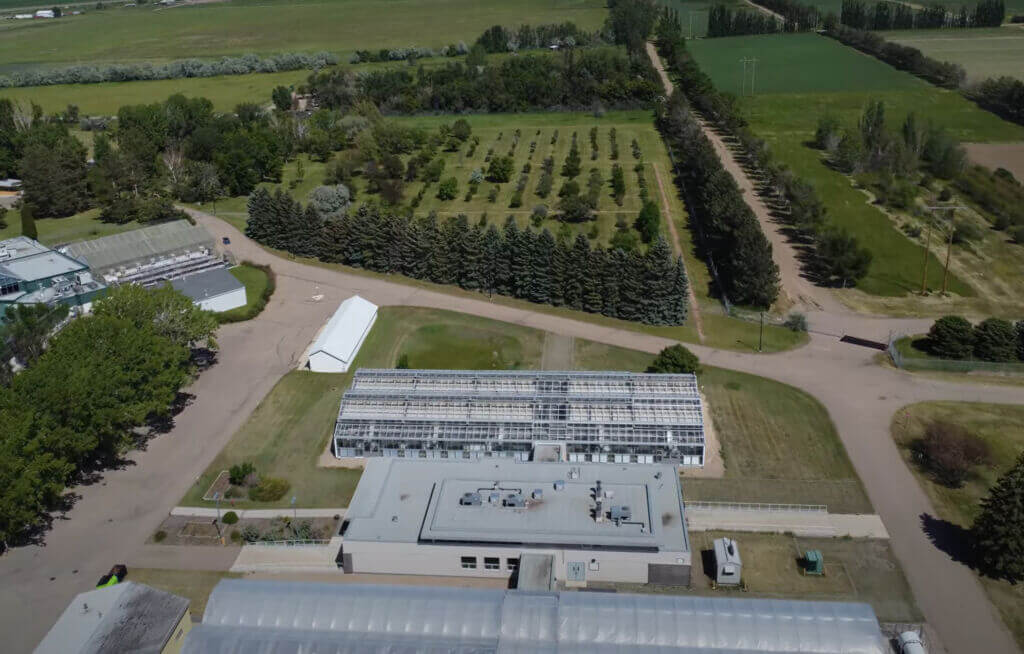 Crop Diversification Centre South (CDCS)