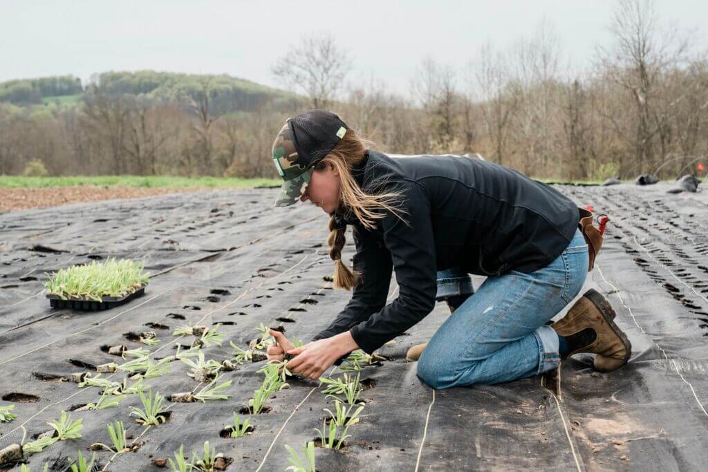 Young farmer, planting plants