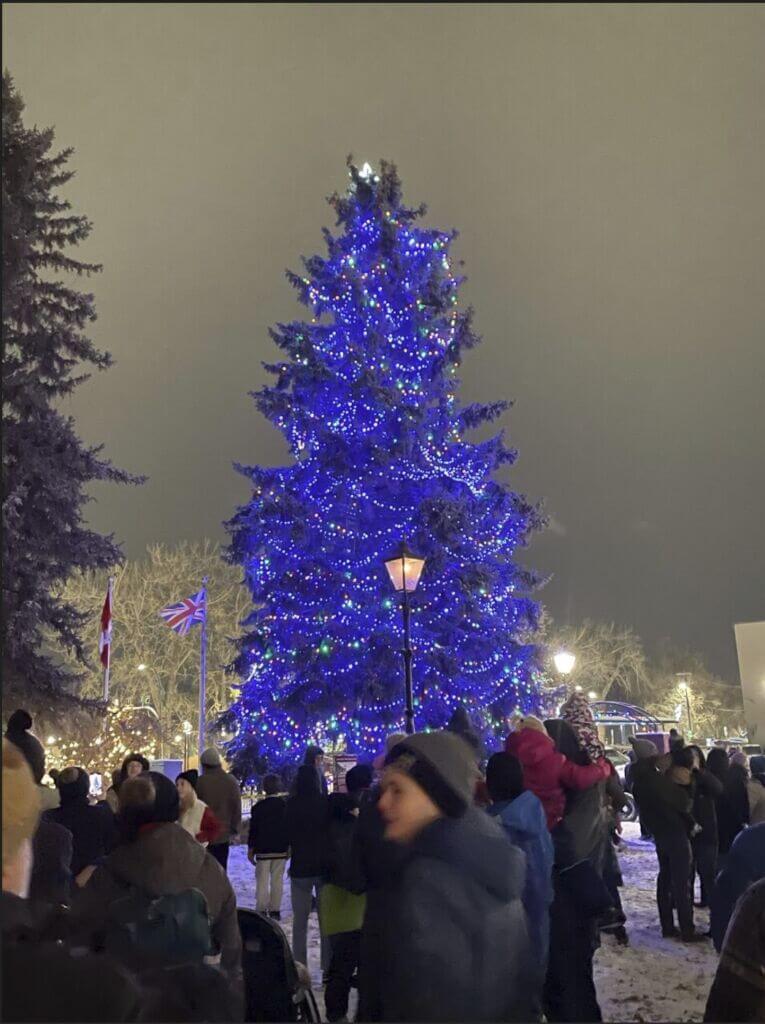 Screenshot 2025-11-24 181819