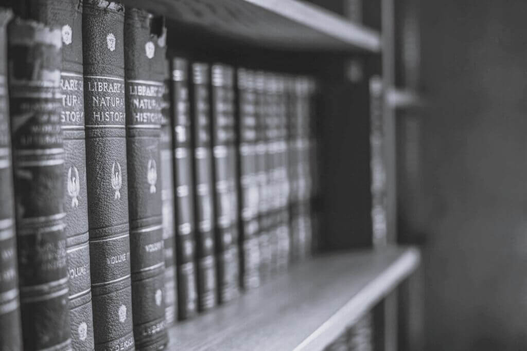 tbel-abuseridze-MuazpqJpo3k-unsplash