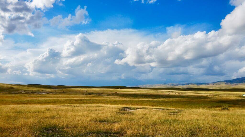 landscape-prairie-grass-outside-sky landscape-prairie-grass-outside-sky