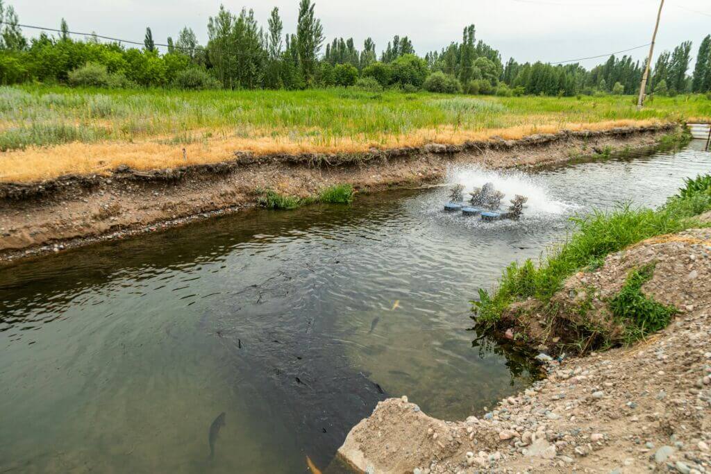 agriculture-fish-water-river-ag-agri-seafood-outside agriculture-fish-water-river-ag-agri-seafood-outside