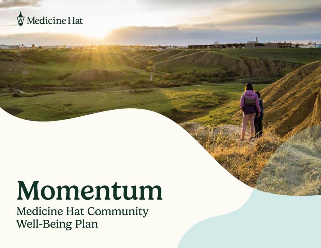 MH Momentum Grant