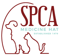 SPCA - logo SPCA - logo