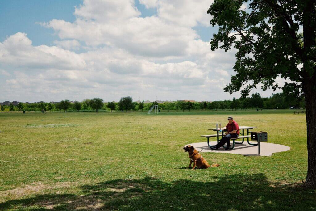 park-picnic table-outisde-bench-sitting