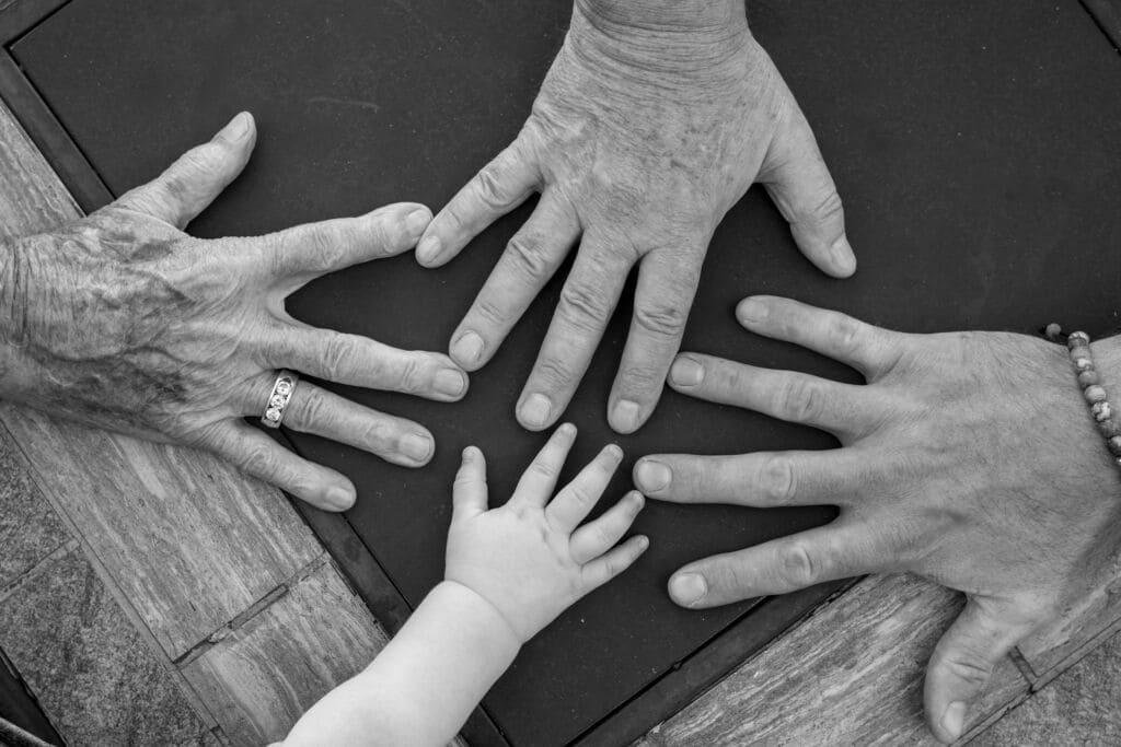 family tree-hands-genealogy-generations family tree-hands-genealogy-generations