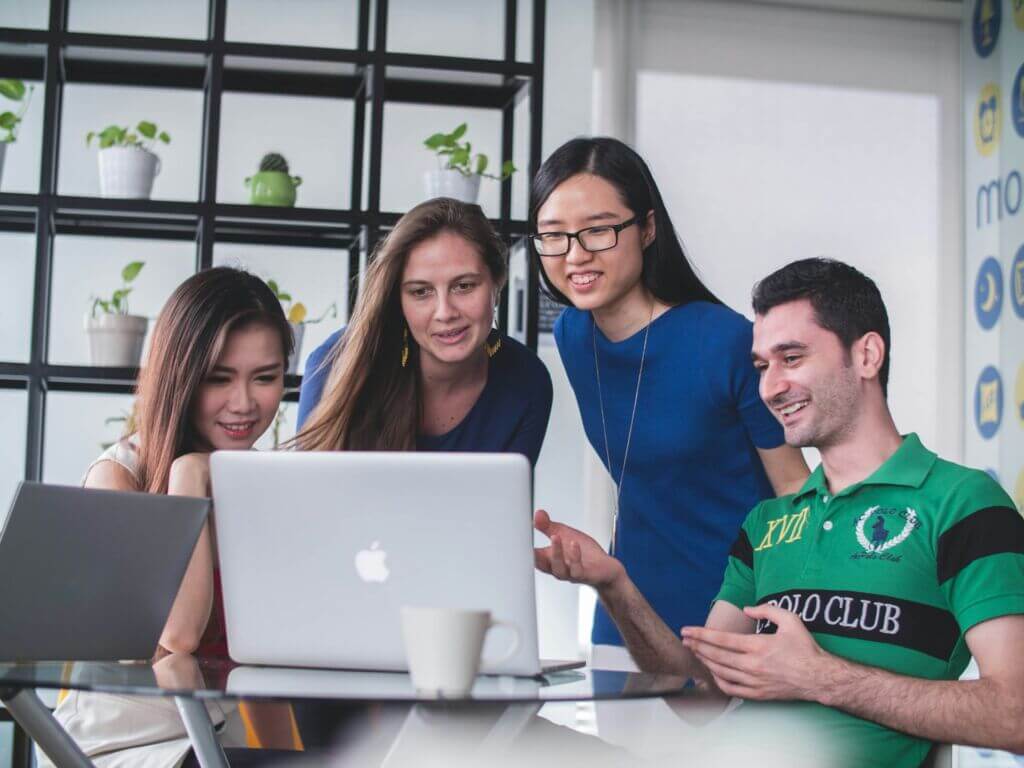 internship-student-office-meeting-laptop-team internship-student-office-meeting-laptop-team