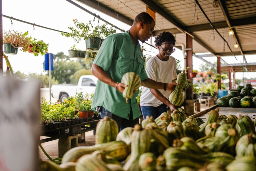 agri-food-agriculture-farmers market-organic-local agri-food-agriculture-farmers market-organic-local