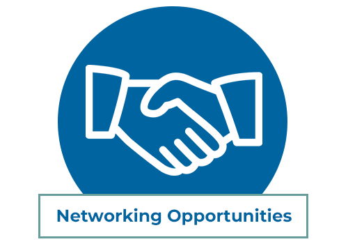 Networking_icon