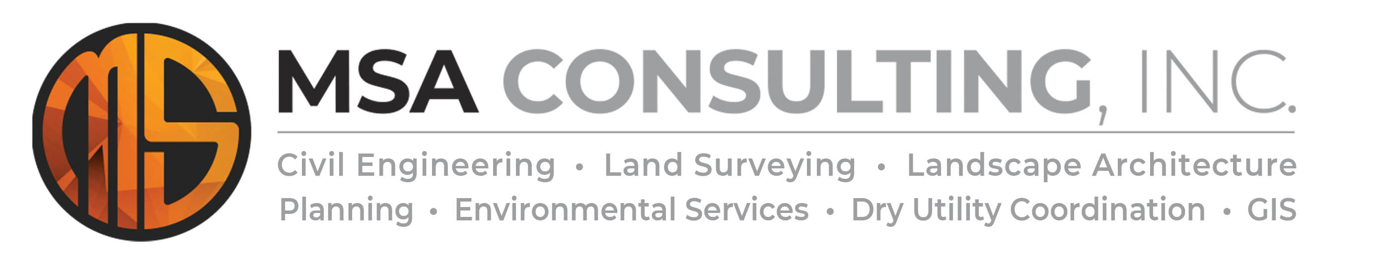 MSA Consulting