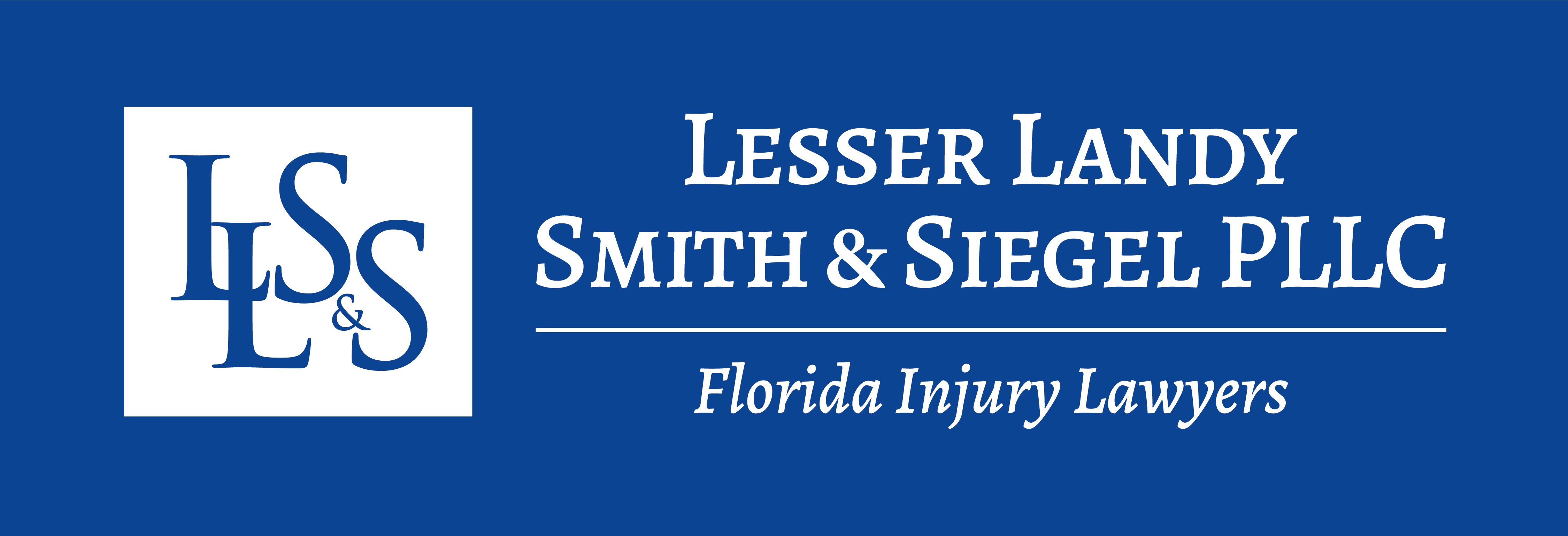 Lesser, Landy, Smith & Siegel, PLLC logo