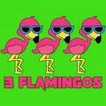3 flamingos