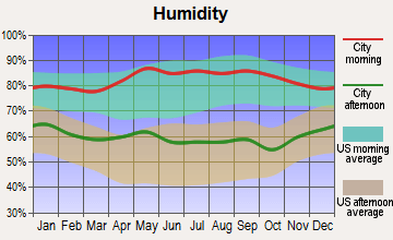 humq1678-6d00b7fc-c739-413e-8336-4434c7ba6014 humidity graph