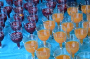 Taste of Mountain View