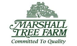 Marshall Tree Farm logo