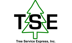 TSE logo website resized TSE logo