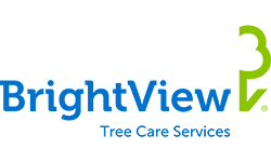 bright view web logo Brightview Tree Care Service Logo