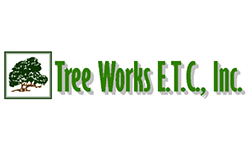 tree works logo resized Tree Works E.T.C. Inc.