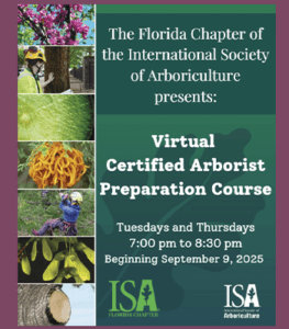 Virtual CA Prep Cover