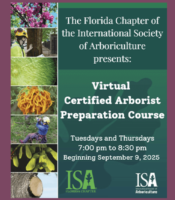 virtual ca prep resized Virtual CA Prep Cover