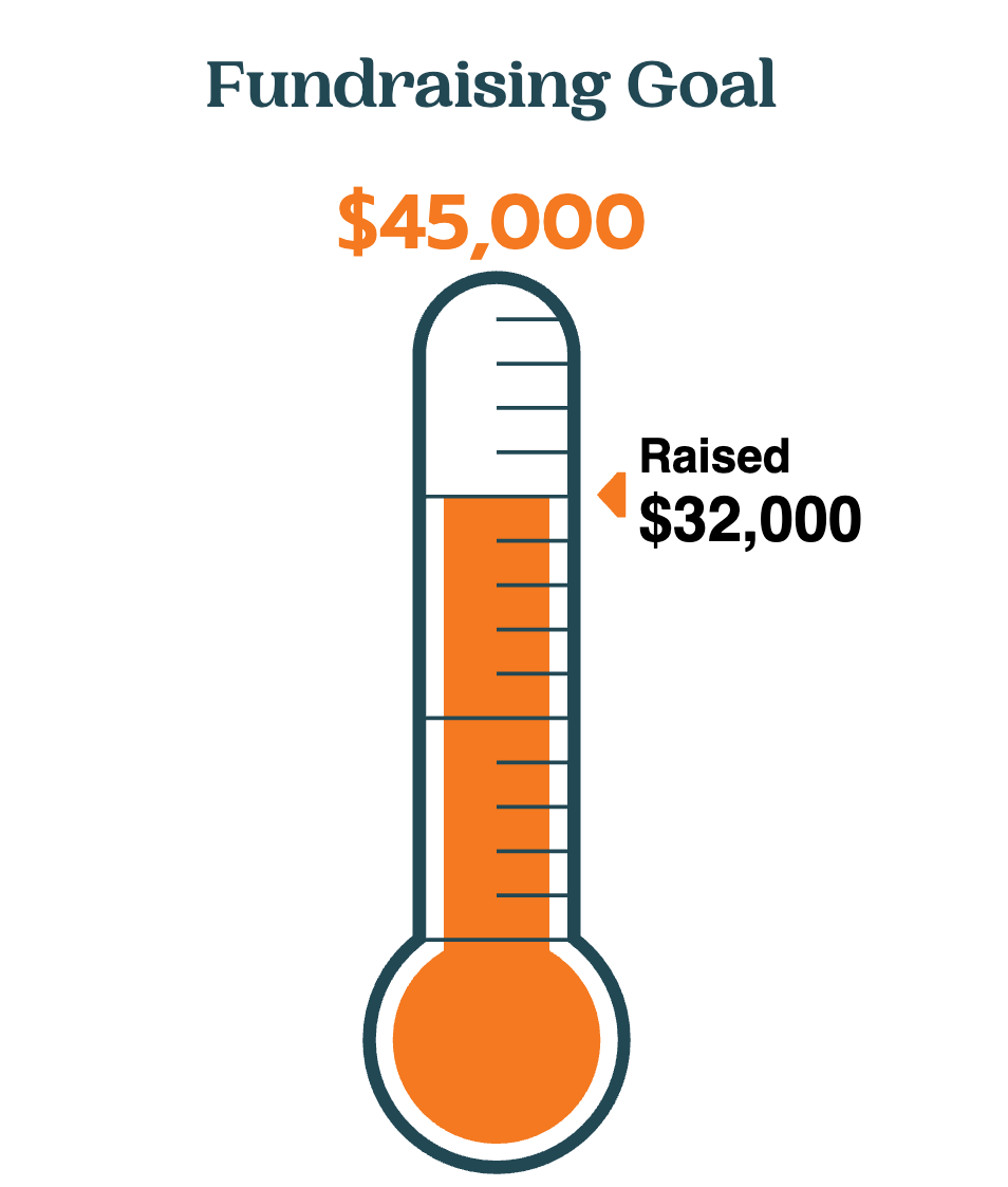 fundraising-goal (1) fundraising-goal (1)