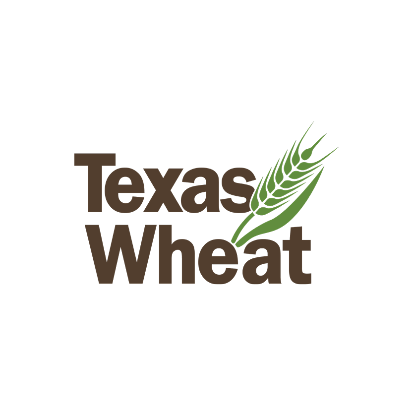 Texas Wheat