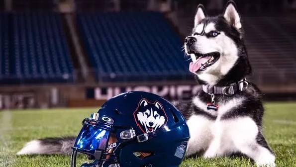 UConn Huskies