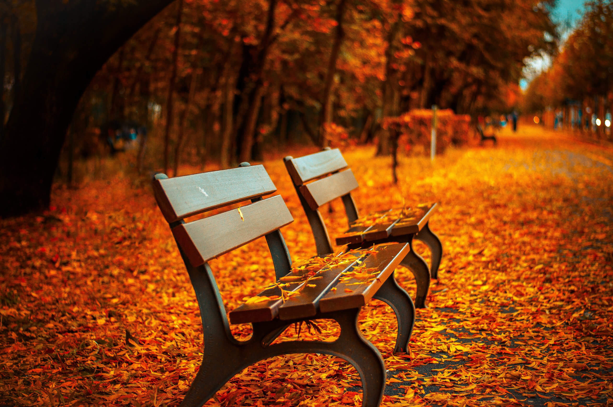 benches-560435