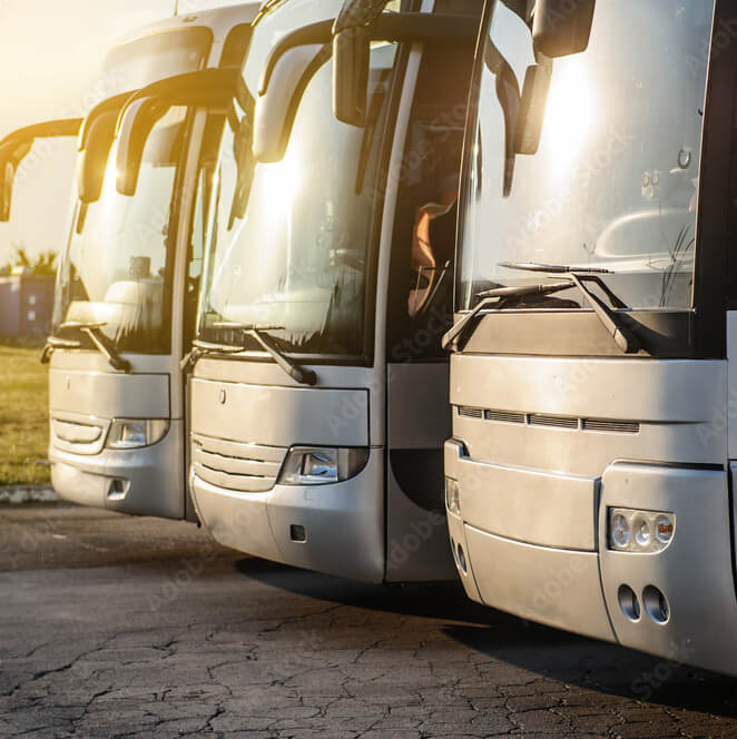 buses buses in a line